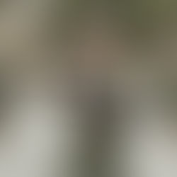 COMUNICADO #2 (2024)