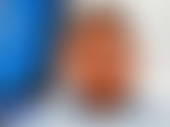 ANÁLISIS DE LOS RESULTADOS ELECTORALES