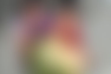 LA DIALÉCTICA Y UN AGRO TAN POBRE COMO DESNUTRIDO