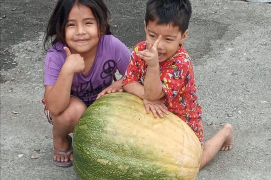 LA DIALÉCTICA Y UN AGRO TAN POBRE COMO DESNUTRIDO