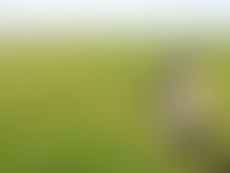 COMUNICADO #18 (2022)