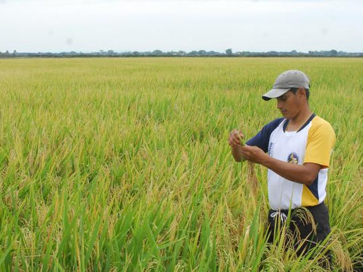 COMUNICADO #18 (2022)