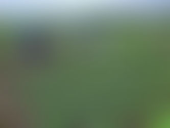 EDITORIAL: Oportunidades, riesgos y desafíos para el agro ecuatoriano
