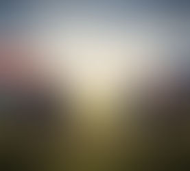 DEMOCRACIA O DICTADURA, ESE ES EL DILEMA.