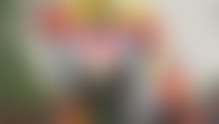 GRUPO DE MIGRANTES DE AXC