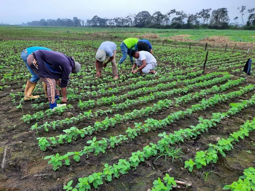 EDITORIAL: Oportunidades, riesgos y desafíos para el agro ecuatoriano