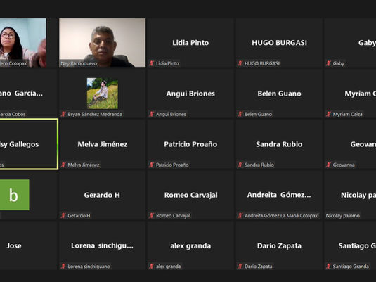 ZOOM SOBRE LA CONSULTA POPULAR