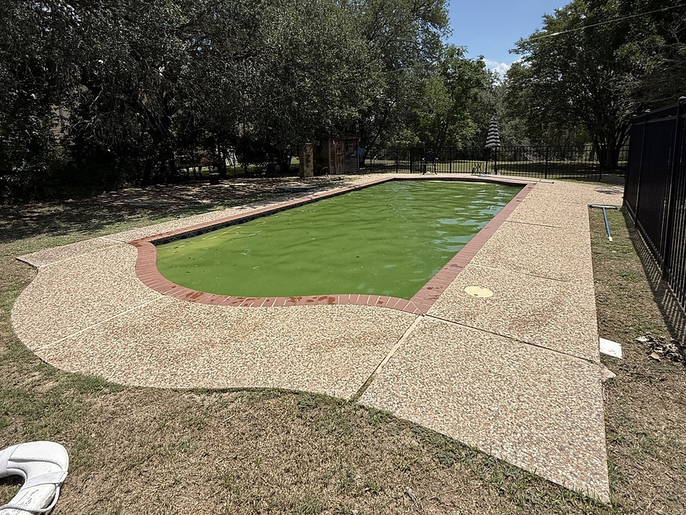 Why is my pool green – backyard pool water turned cloudy and green from algae growth.