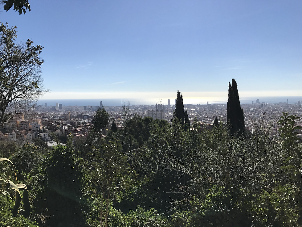 Barcelona skyline