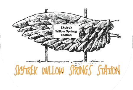 Skytrek Logo Transparent.png