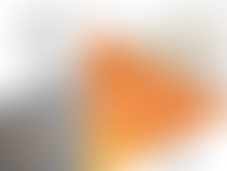 Metal Detectors & Amnesty Bin