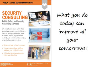 Security Consulting