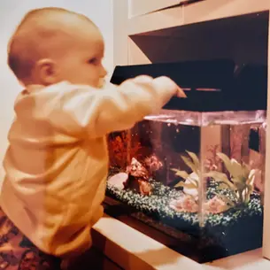 Grief and Goldfish