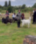 457562828_1023324626354758_8593450734565685070_n