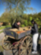 440988615_941004834586738_6532355258327039020_n