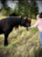 461102320_1042613521092535_29715317005220583_n