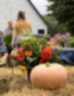 457177408_517104561002066_588845104464472041_n