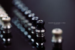 WeChat Image_20211029204841