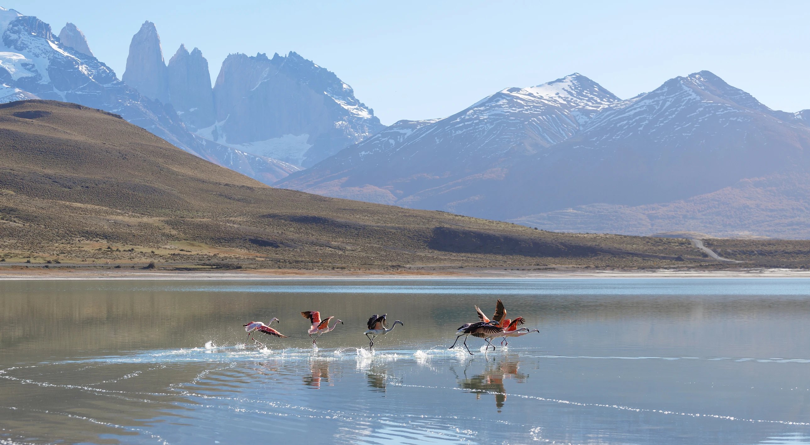 TORRES DEL PAINE.webp