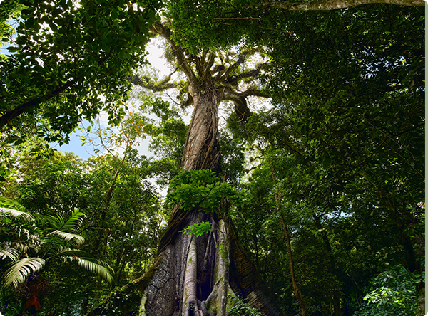 Une banque engagée pour la conformité, l'éthique, la responsabilité sociale et environnementale
