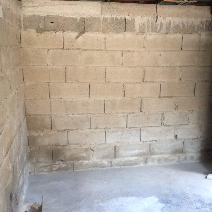 Expertise humidité et moisissures mur de brique Val d'Oise