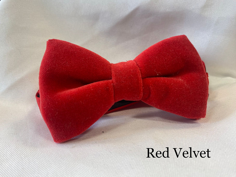 サムネイル： Bow Ties - Paisley, Patterned, Knitted, Velvet