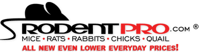 rpro_logo.gif