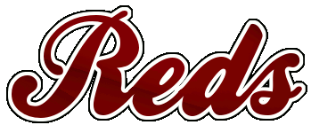 Yorkville Illinois Youth Travel Baseball Northern Illinois Reds