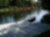 Canoe tied to our dock at Sauble Falls Bed and Breakfast Ontario Canada