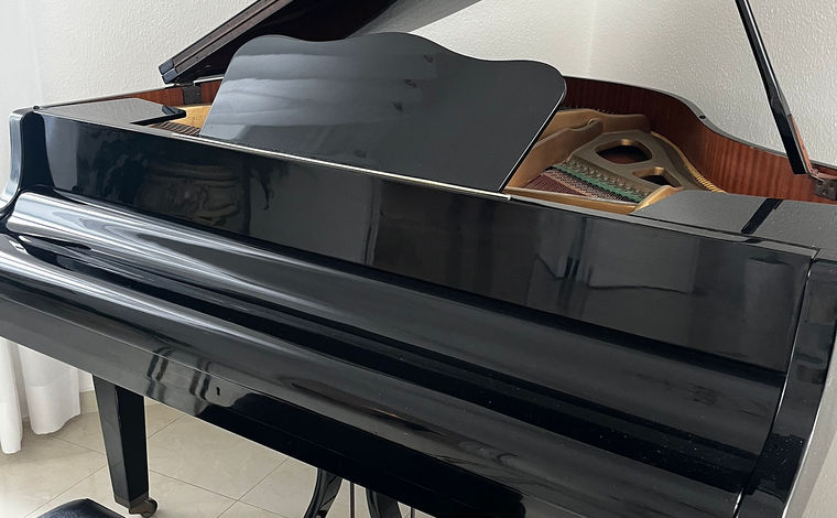A black grand piano sitting in a room adorned with elegant decor.