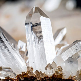 1200px x 1200px template  (16).jpg