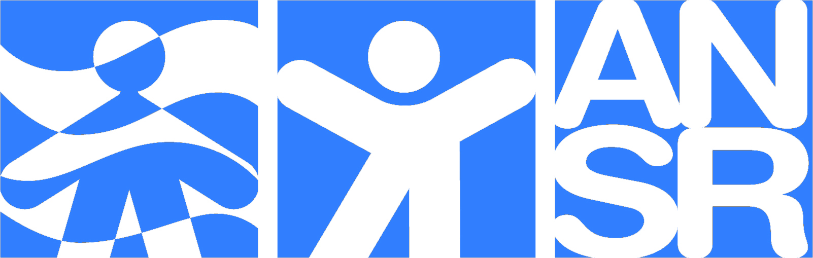 ANSR Logo High Res.jpg