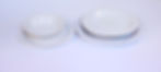 website%20plate_edited.jpg