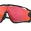 Miniatura: Oakley