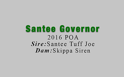SanteeGovernor.png