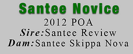 SanteeNovice.png