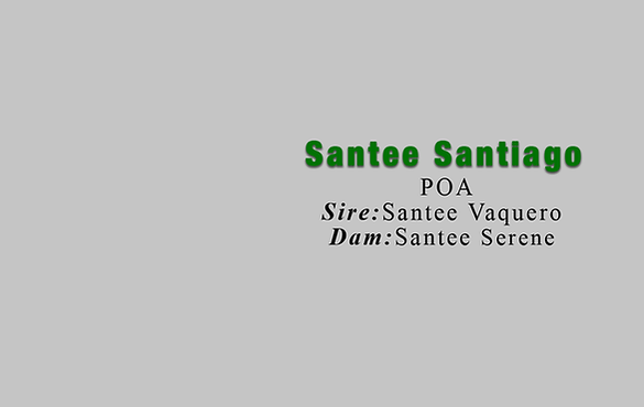 SanteeSantiago.png