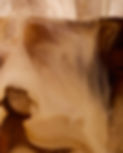 Coffee Close Up
