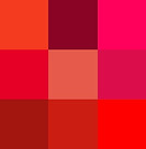 rojo.jpeg