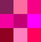 fucsia.jpeg