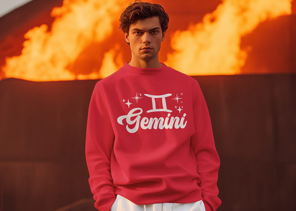 Gemini zodiac sign sweatshirt