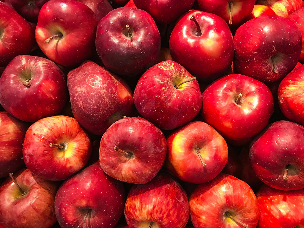 Apple Season Is Here: Everything You Need to Know About Apples