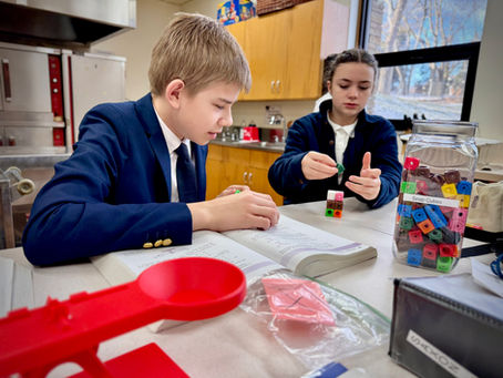 Curriculum News & Updates