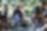 picnic-3.jpg