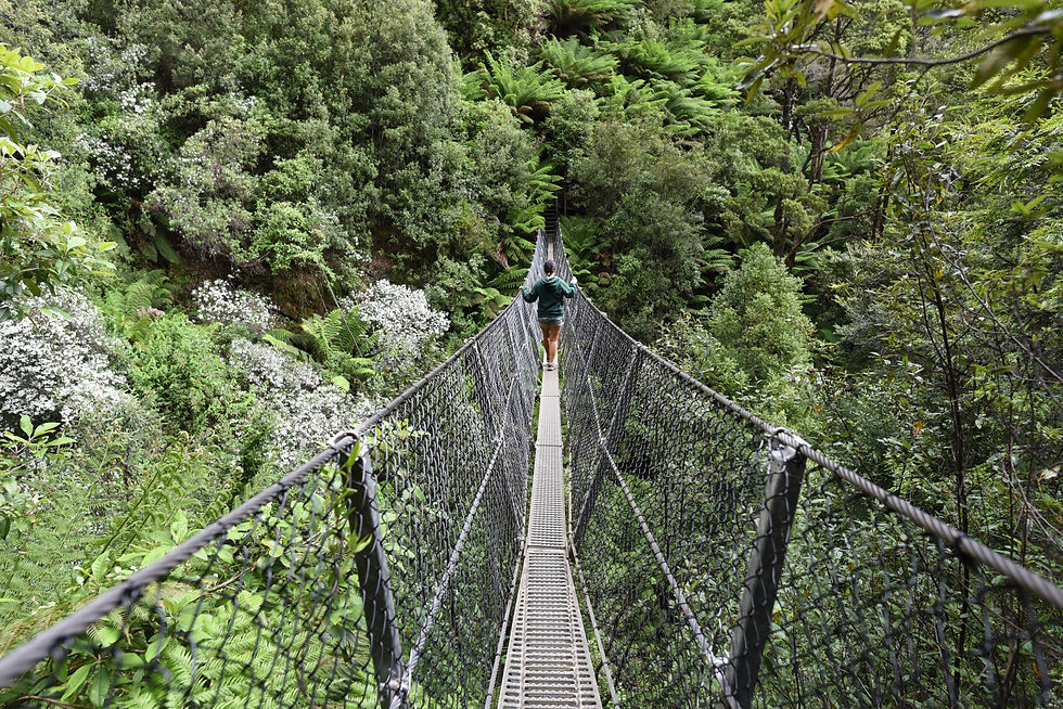 Swing bridge at Montezuma Falls