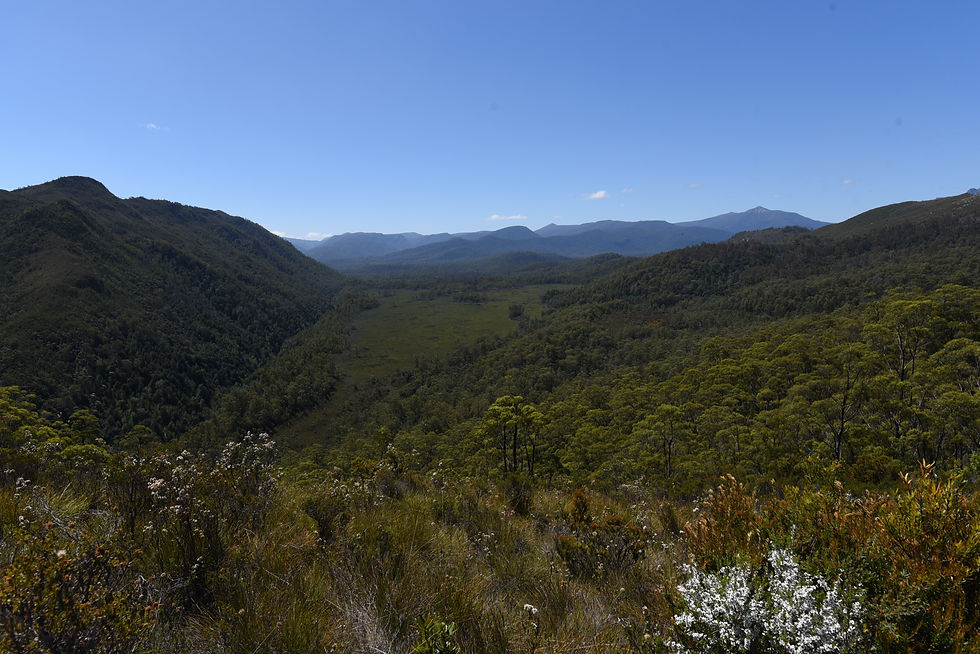 Donahgys Lookout