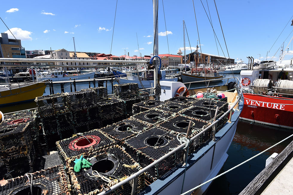 Fishing Boat