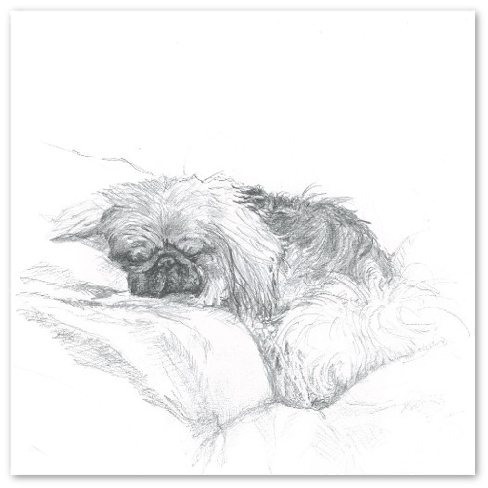 Pekingese Snoozing. Pack of 10 Greeting Cards. 14x14cm