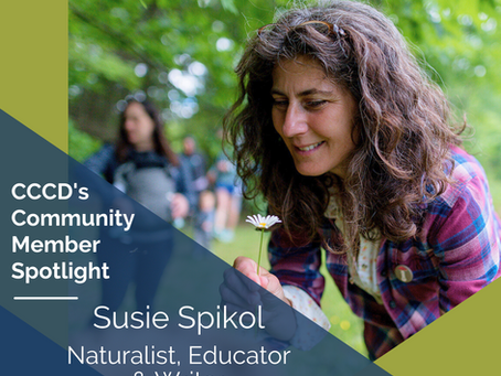 November Community Member Spotlight: Susie Spikol