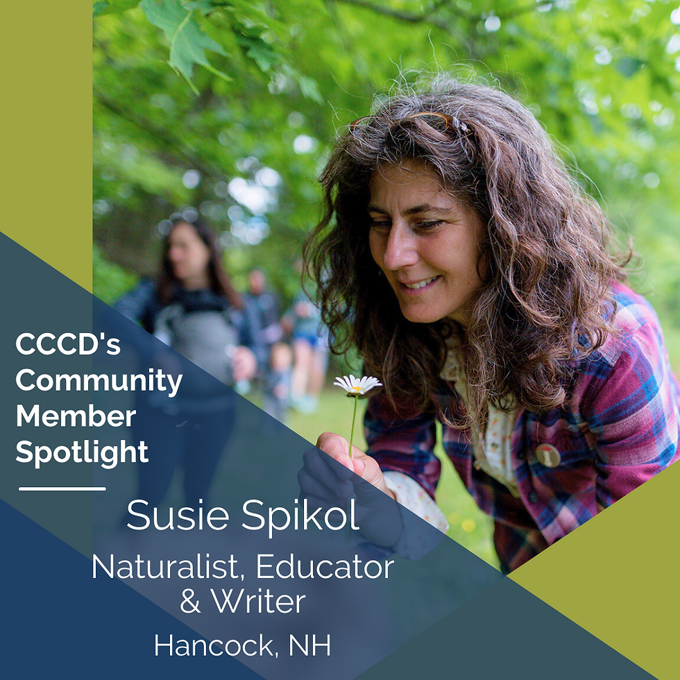 November Community Member Spotlight: Susie Spikol